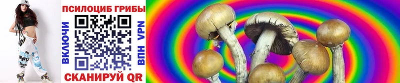 Псилоцибиновые грибы Magic Shrooms  купить  цена  Новосибирск 