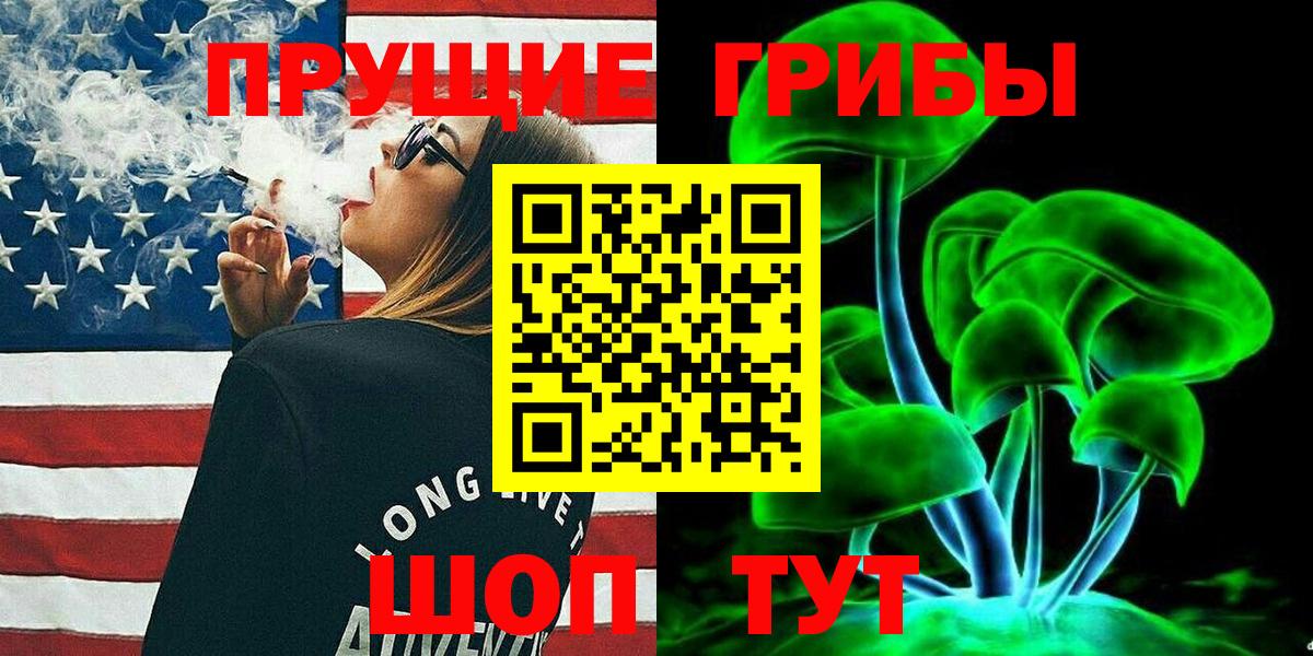 Галлюциногенные грибы GOLDEN TEACHER  Вход с VPN  Новосибирск  Галлюциногенные грибы мицелий 