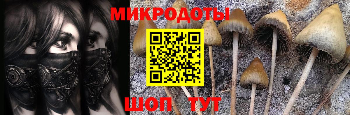 Галлюциногенные грибы ЛСД Новосибирск